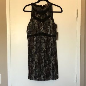 Charlie Jade Chiffon fit & flare dress